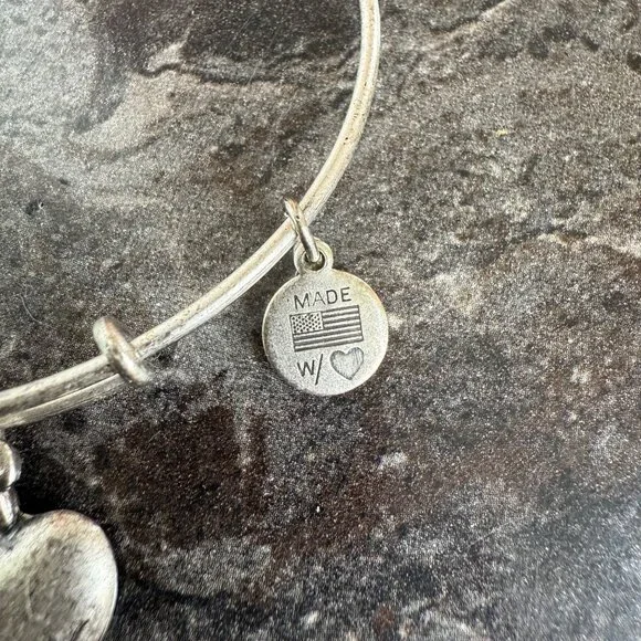 Alex and Ani Apple Charm Bracelet Silver Nature Expandable Bangle - Picture 13 of 14